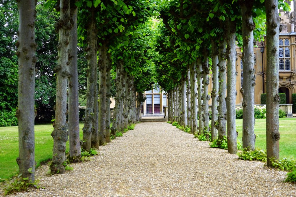 a road leading to a house surrounded by trees
